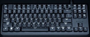 Клавиатура BlackWidow Lite, Orange Switch, Black, US цена и информация | Клавиатуры | pigu.lt