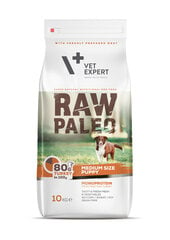 Сухой беззерновой корм Raw Paleo для щенков средних пород Puppy Medium с индейкой, 10 кг цена и информация | Сухой корм для собак | pigu.lt
