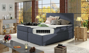 Кровать Divalo BD09, 140х200 см, темно-синяя цена и информация | Кровати | pigu.lt