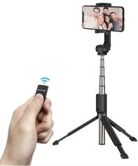 Палка для селфи BlitzWolf BW-BS4 Black цена и информация | Моноподы для селфи («Selfie sticks») | pigu.lt