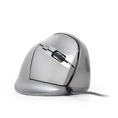 Gembird MUS-ERGO-02 Optical Mouse, Silve цена и информация | Мыши | pigu.lt