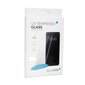 BlueStar UV Glass Samsung Galaxy S10 kaina ir informacija | Apsauginės plėvelės telefonams | pigu.lt