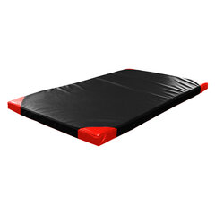 Gimnastikos kilimėlis Insportline Roshar T60, 200x120 cm kaina ir informacija | Kilimėliai sportui | pigu.lt