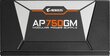 Gigabyte GP-AP750GM kaina ir informacija | Maitinimo šaltiniai (PSU) | pigu.lt