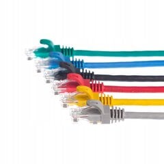 NetRack BZPAT0P56G цена и информация | Кабели и провода | pigu.lt