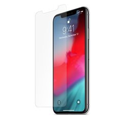 Nexeri Blue Line Защитная Плёнка Экрана Мобильного Телефона для Apple iPhone XS Max цена и информация | Google Pixel 3a - 3mk FlexibleGlass Lite™ защитная пленка для экрана | pigu.lt