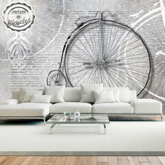 Fototapetas - Vintage bicycles - black and white цена и информация | Фотообои | pigu.lt