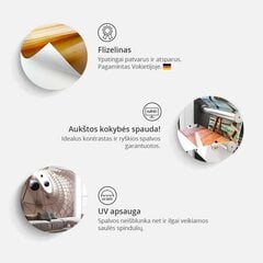 Fototapetas - Amber winds цена и информация | Фотообои с инструментом и клеем - Бежевые листья эвкалипта, 400x280 см | pigu.lt