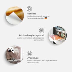 Fototapetas - White Balance цена и информация | Фотообои с инструментом и клеем - Бежевые листья эвкалипта, 400x280 см | pigu.lt