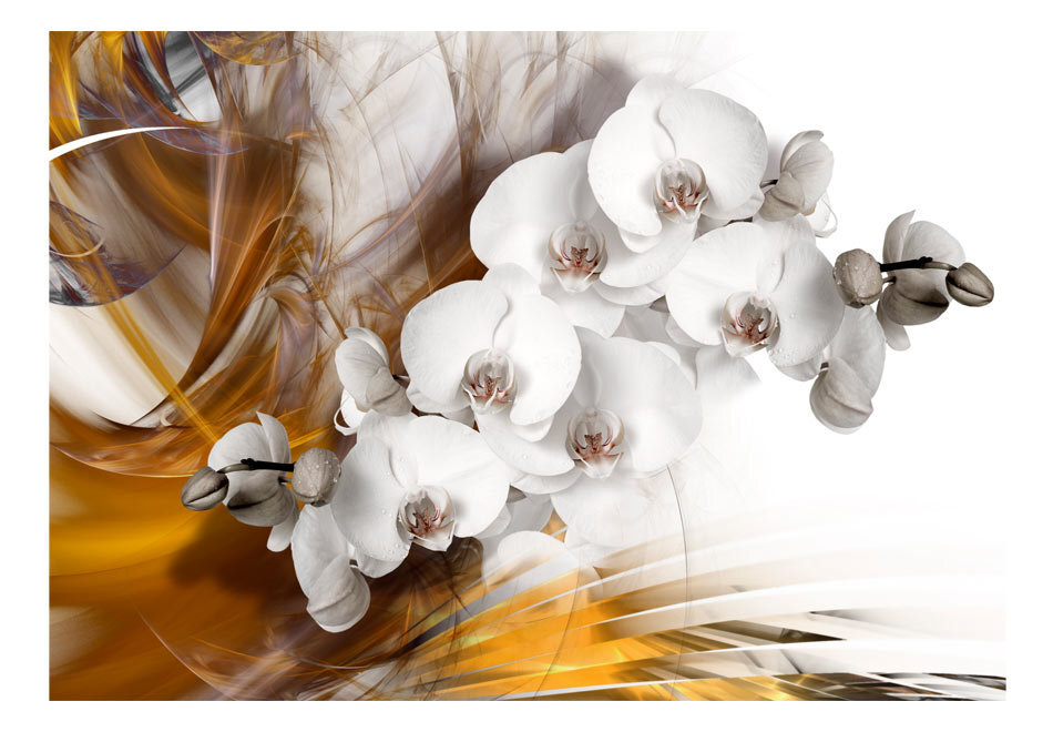Fototapetas - Orchid on fire kaina ir informacija | Fototapetai | pigu.lt