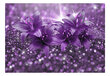 Fototapetas - Masterpiece of Purple kaina ir informacija | Fototapetai | pigu.lt