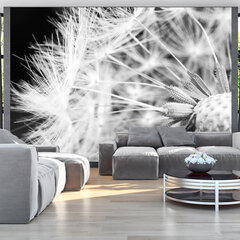 Fototapetas - Black and white dandelion цена и информация | Фотообои | pigu.lt