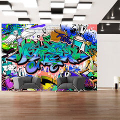 Fototapetas - Graffiti: blue theme цена и информация | Фотообои с инструментом и клеем - Бежевые листья эвкалипта, 400x280 см | pigu.lt