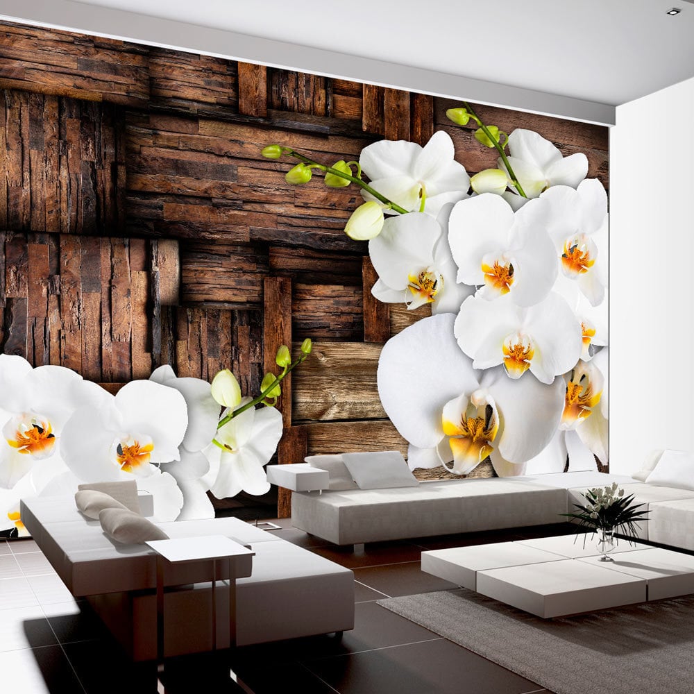 Fototapetas - Blooming orchids kaina ir informacija | Fototapetai | pigu.lt