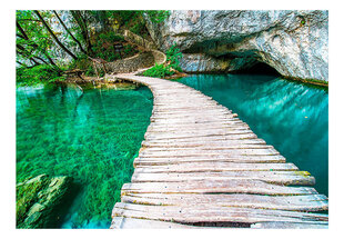 Fototapetas - Plitvice Lakes National Park, Croatia kaina ir informacija | Fototapetai | pigu.lt