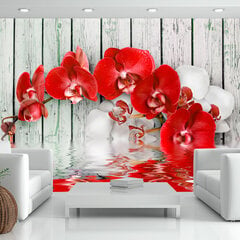 Fototapetas - Ruby orchid цена и информация | Фотообои с инструментом и клеем - Бежевые листья эвкалипта, 400x280 см | pigu.lt