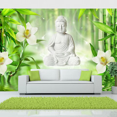 Fototapetas - Buddha and nature цена и информация | Фотообои | pigu.lt