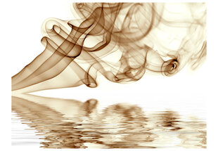 Fototapetas - Smoke curls kaina ir informacija | Fototapetai | pigu.lt
