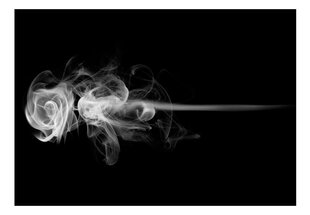 Fototapetas - rose (smoke) kaina ir informacija | Fototapetai | pigu.lt