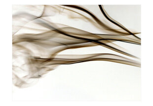 Fototapetas - smoke - abstract цена и информация | Фотообои | pigu.lt