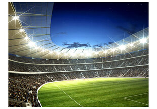 Fototapetas - National stadium kaina ir informacija | Fototapetai | pigu.lt