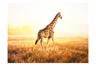 Fototapetas - giraffe - walk цена и информация | Фотообои | pigu.lt