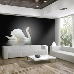 Fototapetas - swan (black and white) kaina ir informacija | Fototapetai | pigu.lt