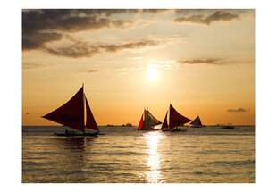 Fototapetas - sailing boats - sunset цена и информация | Фотообои | pigu.lt