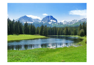 Fototapetas - National Park Durmitor, Montenegro цена и информация | Фотообои | pigu.lt