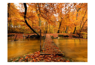 Fototapetas - Autumn bridge цена и информация | Фотообои | pigu.lt