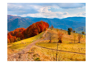 Fototapetas - Autumn landscape in the Carpathian mountains цена и информация | Фотообои | pigu.lt
