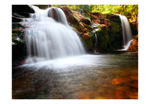 Fototapetas - Small Elbe waterfall kaina ir informacija | Fototapetai | pigu.lt