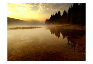 Fototapetas - Forest and lake цена и информация | Фотообои | pigu.lt