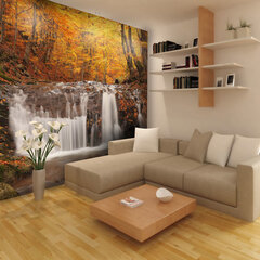 Fototapetas - Autumn landscape : waterfall in forest цена и информация | Фотообои | pigu.lt