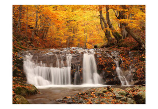 Fototapetas - Autumn landscape : waterfall in forest цена и информация | Фотообои | pigu.lt