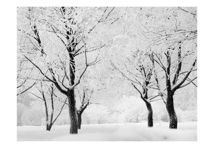 Fototapetas - Trees - winter landscape kaina ir informacija | Fototapetai | pigu.lt