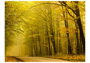 Fototapetas - Road in autumn forest kaina ir informacija | Fototapetai | pigu.lt