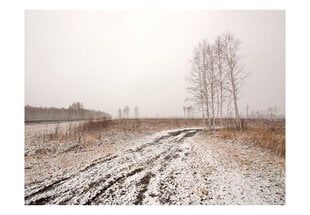 Fototapetas - Winter field цена и информация | Фотообои | pigu.lt