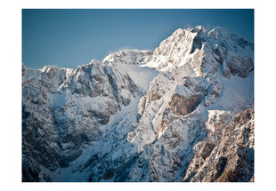 Fototapetas - Winter in the Alps цена и информация | Фотообои | pigu.lt