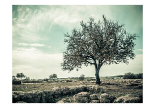 Fototapetas - tree - vintage цена и информация | Фотообои | pigu.lt