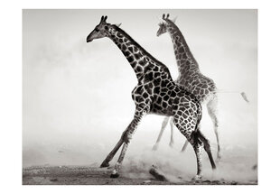 Fototapetas - Giraffes цена и информация | Фотообои | pigu.lt