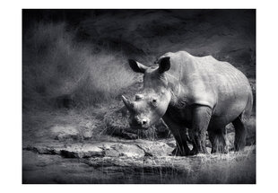 Fototapetas - Rhinoceros lost in reverie цена и информация | Фотообои | pigu.lt