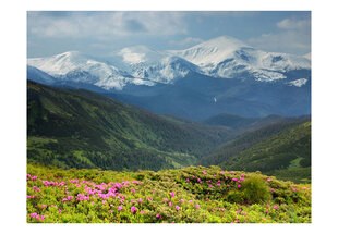 Fototapetas - Spring mountain landscape цена и информация | Фотообои | pigu.lt