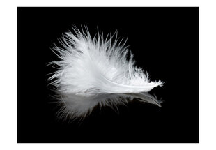 Fototapetas - White feather kaina ir informacija | Fototapetai | pigu.lt