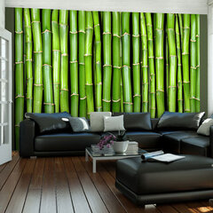 Fototapetas - Bamboo wall kaina ir informacija | Fototapetai | pigu.lt