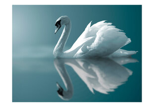 Fototapetas - White swan цена и информация | Фотообои | pigu.lt