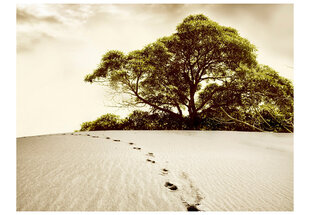 Fototapetas - Tree in the desert цена и информация | Фотообои | pigu.lt