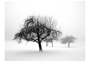Fototapetas - Winter: Trees цена и информация | Фотообои | pigu.lt