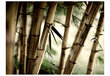 Fototapetas - Fog and bamboo forest kaina ir informacija | Fototapetai | pigu.lt