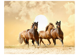 Fototapetas - Running horses цена и информация | Фотообои | pigu.lt